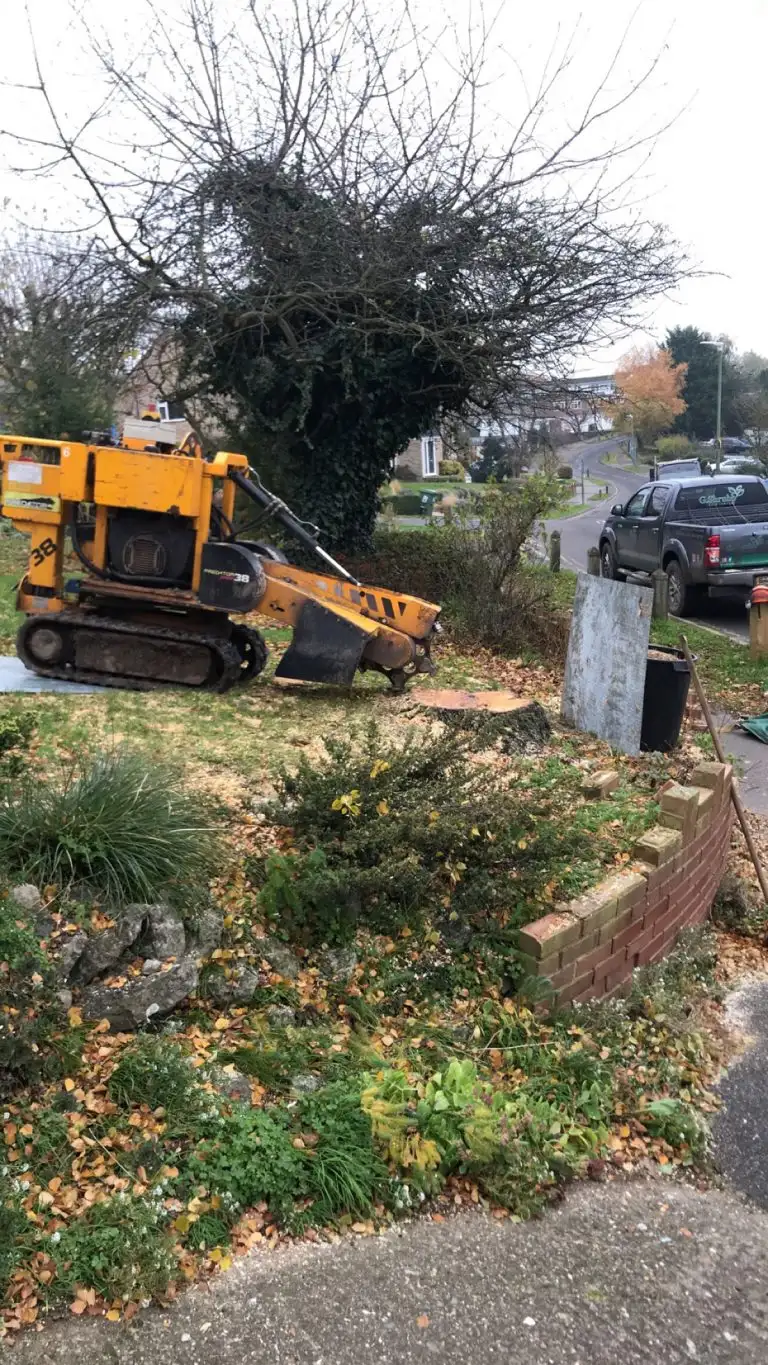 Stump Removal Maidstone