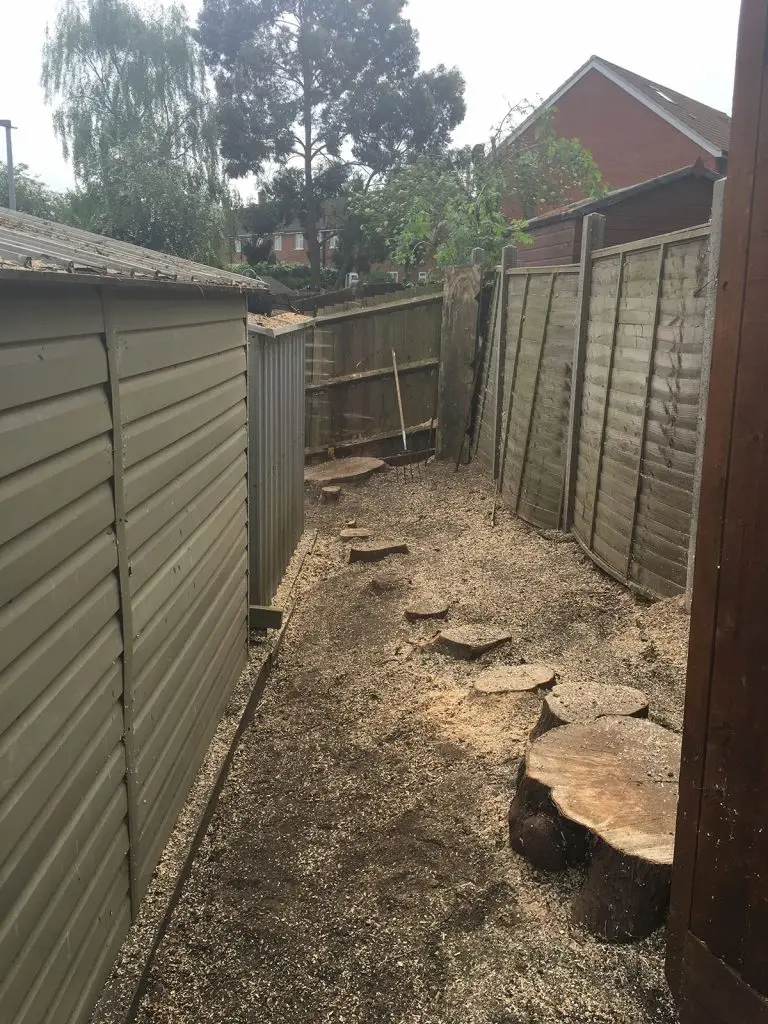 Stump Grinding Maidstone