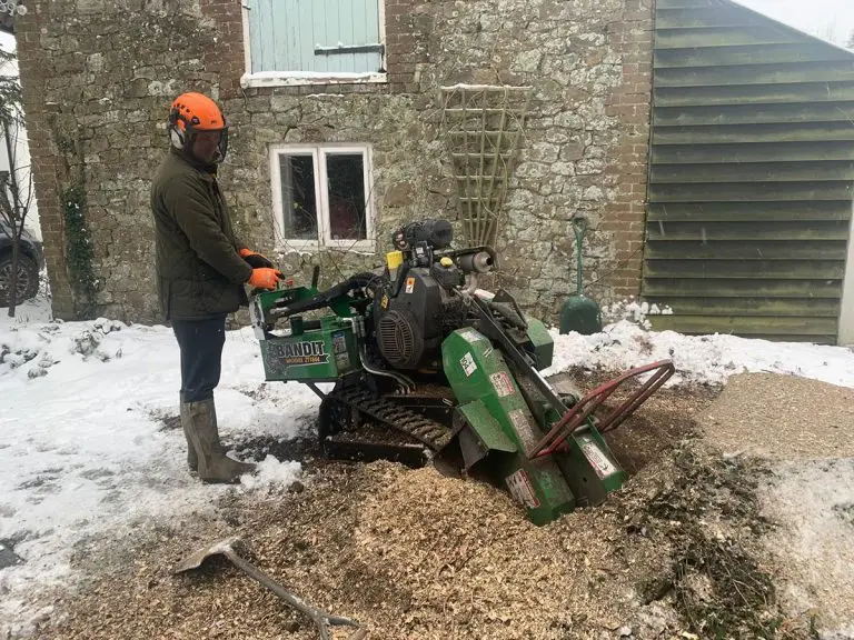 Best Stump Grinding Service Kent