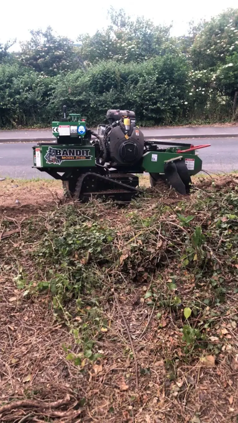 Stump Grinding Maidstone