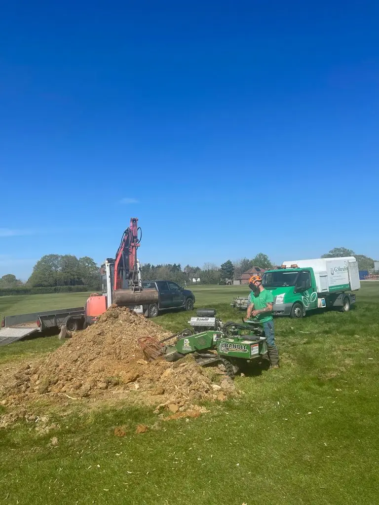 Stump Grinding Kent