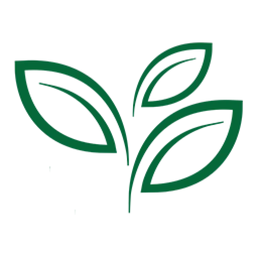 Professional Tree Surgeons Maidstone
