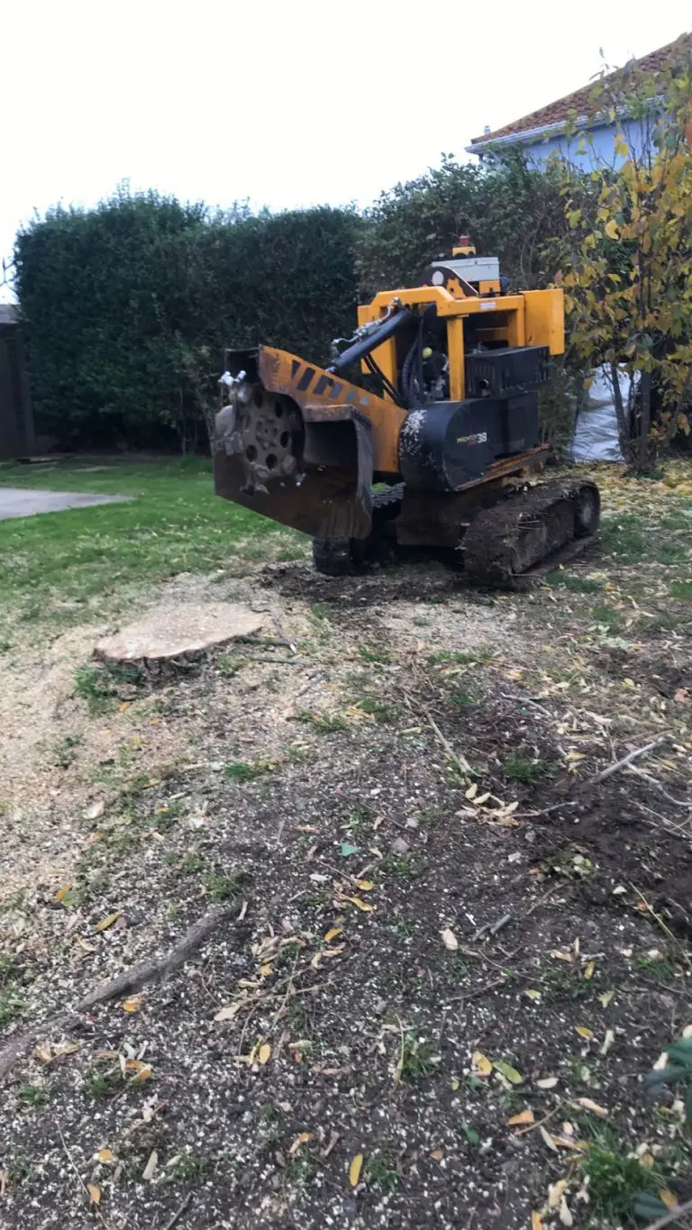 Stump Removal Kent