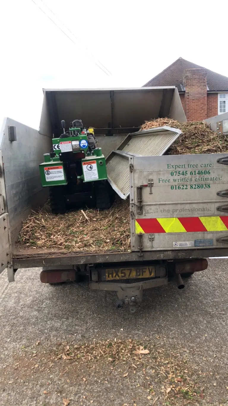 First Class Stump Removal Service in Maidstone