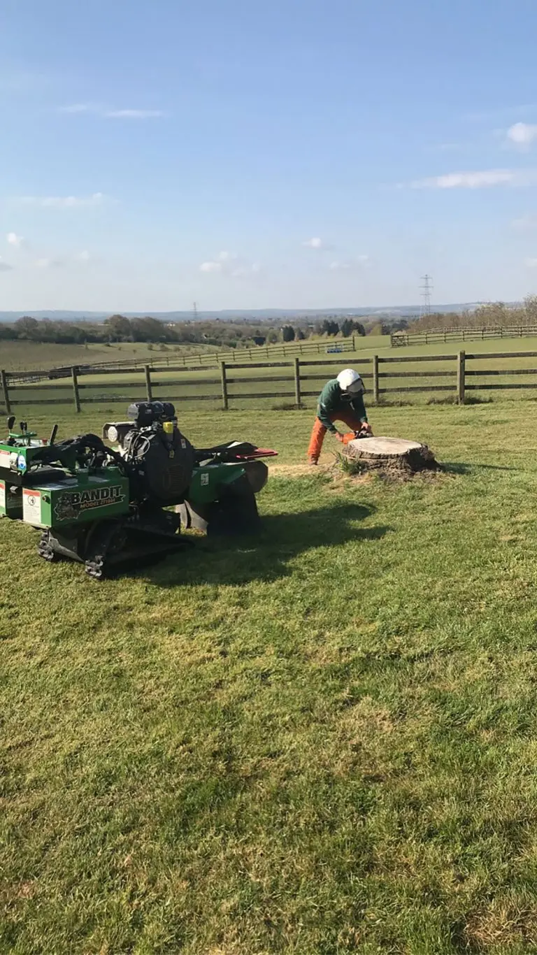 Fast and efficient Tree Stump Removal