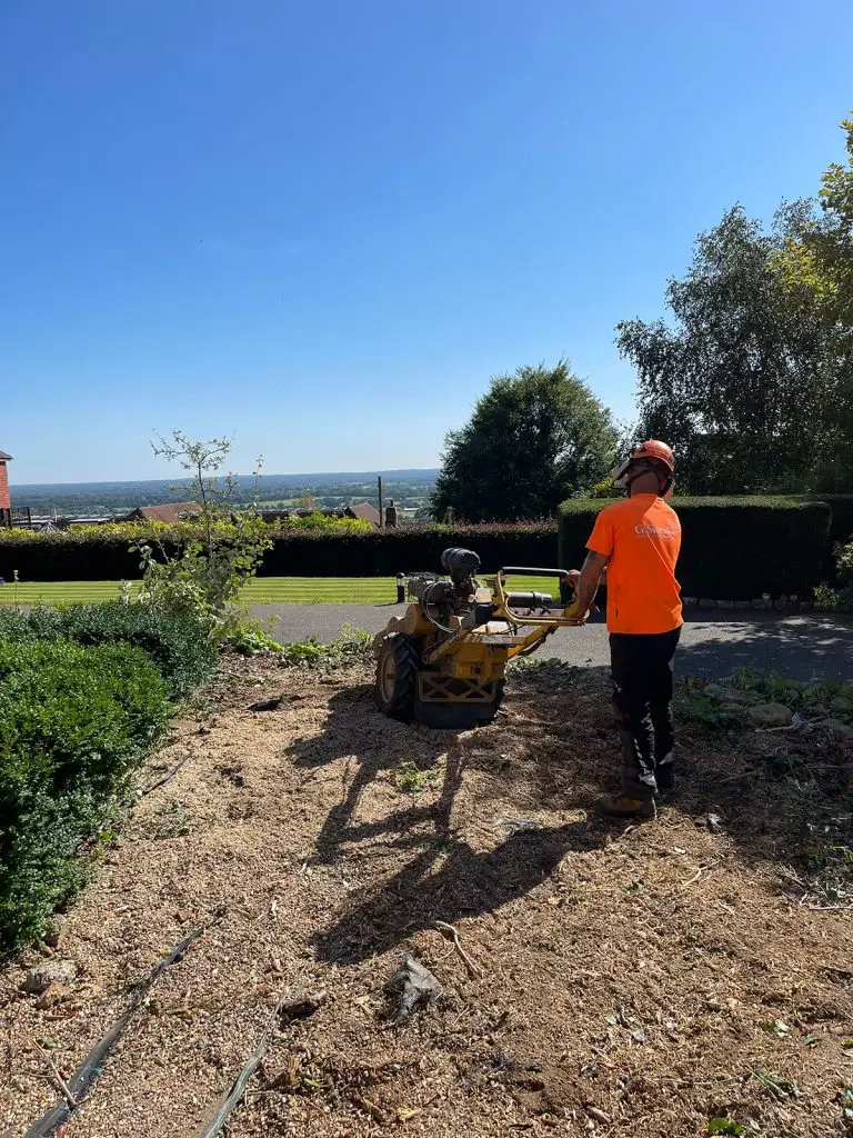 Free Stump Grinding Quote