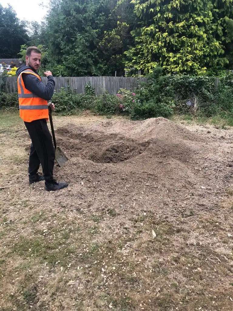 Stump and Root Removal Maidstone
